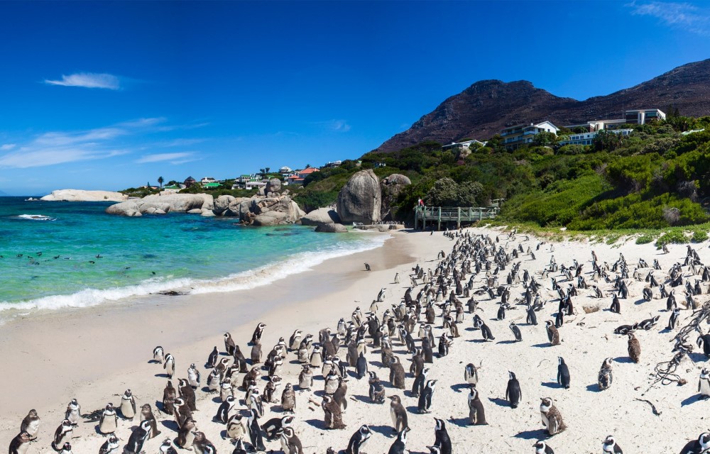 Boulders Beach